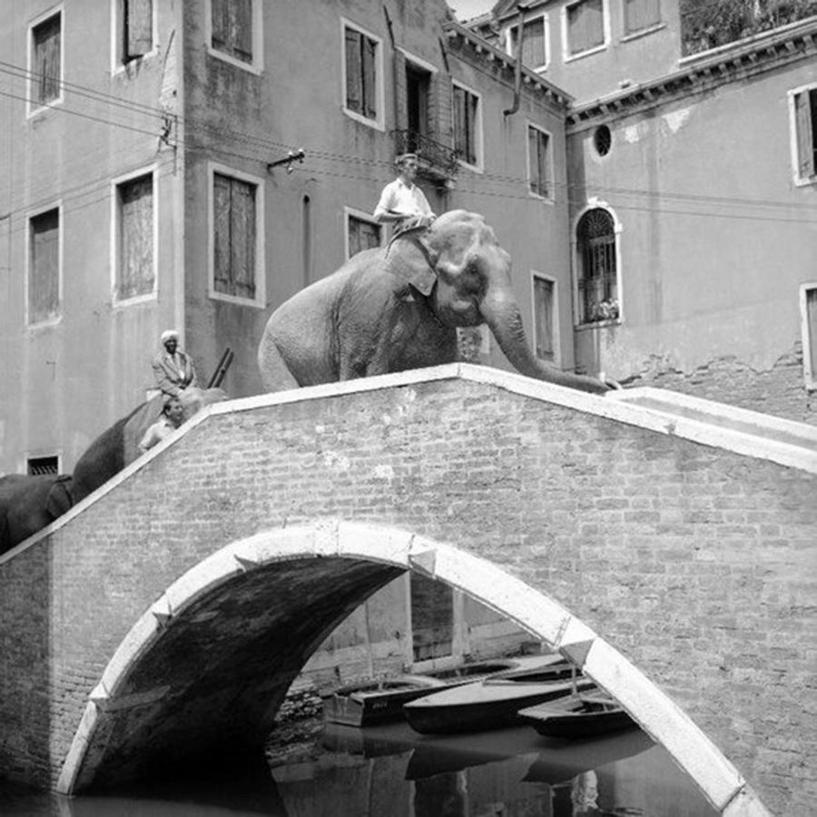 Ca' Circus 4 Rooms Wi-Fi Fibre Venezia Eksteriør bilde